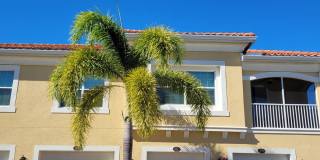 Seasonal/short term 3/2 updated condo in Osprey not far from the beach! Seasonal/short term 3/2 updated condo in Osprey not far from the beach! Gallery 1
