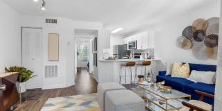 Boca Arbor Club Gallery 18