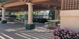 2380 Sunningdale Gallery 16
