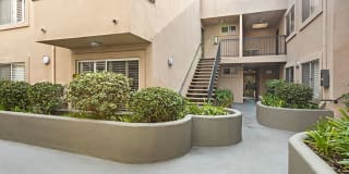 Magnolia Terrace Gallery 19