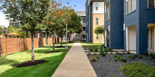 The Davis Gallery 29