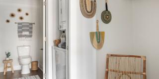 The Cannon Gallery 12