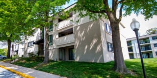 Ashley Apartments Gallery 36