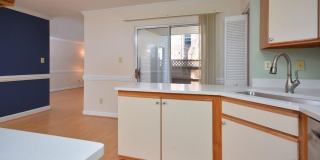 425 Summerwalk Gallery 18