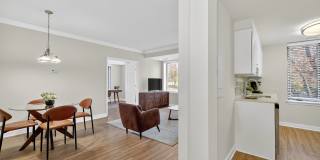 The Saratoga Gallery 5