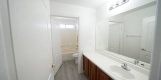 SHOWINGS AVAILABLE NOW Gallery 11