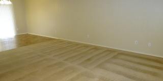 7226 Horizon Star Gallery 4