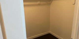 True Beauty! SOLAR Gallery 18