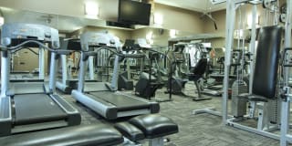 Prestonbridge Apartments Gallery 8