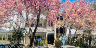 7715 LAFAYETTE FOREST Drive unit: 101 Gallery 1