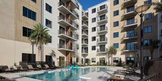 Luna at Viera Gallery 2