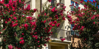 College Park Apartment Homes Gallery 80