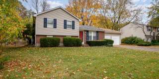Inviting home with private fenced yard for pets Gallery 10