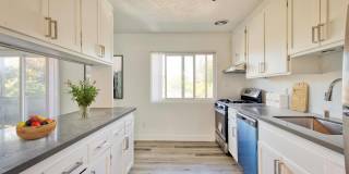 The Harlow Gallery 6