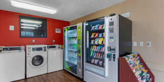 Fort Lauderdale - Davie Gallery 21