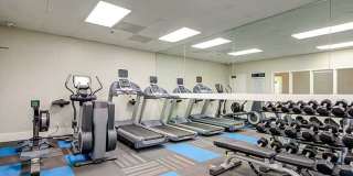 Elevate Long Beach Gallery 21