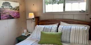 Idyllic Fully Furnished Cottage in Asilomar Dunes Available Monthly Gallery 17