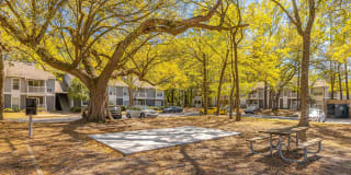 Ellevate St. Ives Gallery 22