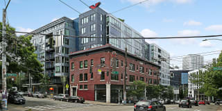 Excelsior Gallery 15