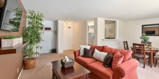 Harbor Lake Gallery 4