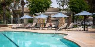 Camino Real Gallery 4