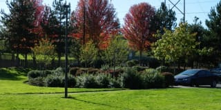 Springwater Trail Gallery 25