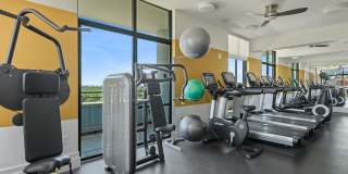 Ellis Bethesda Gallery 1