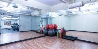 The Wilson Gallery 21