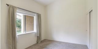 24802 Leto Circle Gallery 3