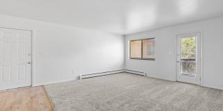 Don Quixote Gallery 7