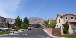 3316 Lacebark Pine Street Gallery 29