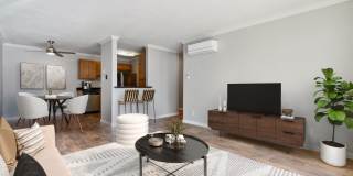 Atrium Downtown Gallery 2