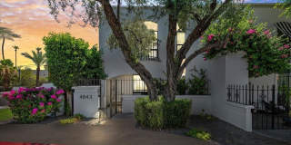 4843 N 72nd Way Gallery 32
