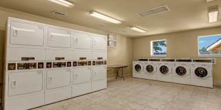 Canyon Ranch Gallery 13