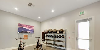 Avion Gallery 27