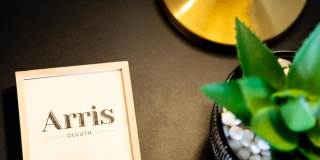 Arris Duluth Gallery 44