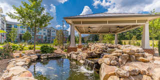 Grayson Ridge 55+ Apartments - Senior Housing Gallery 20