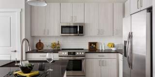 The Cannon Gallery 2