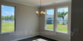 262 Streamliner Boulevard Gallery 4