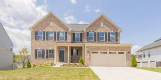 10083 DRESSAGE Drive Gallery 1