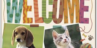 1337 North Madison Street Gallery 1