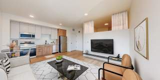 The Mason Gallery 44