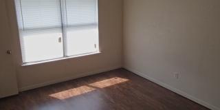 312 Tamara Gallery 6