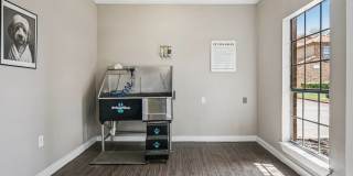 Spring Pointe Apartments Gallery 29