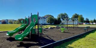 Deer Chase Gallery 37