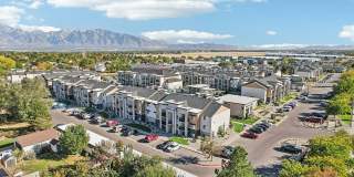 Carrington Square Gallery 82