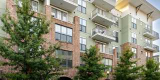 1400 Chestnut Apartments Gallery 31