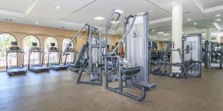 The Orsini Gallery 54