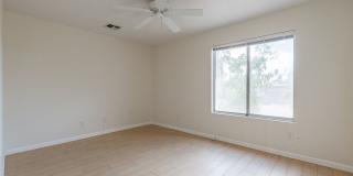 Modern East Tucson Sanctuary: 3BR with Wood Floors & Private Fenced Yard Gallery 19
