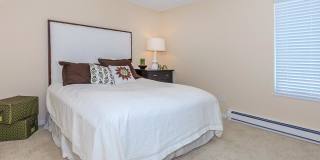 Carrington Gallery 49